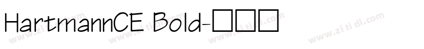 HartmannCE Bold字体转换